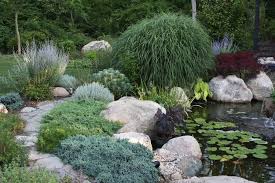 Creeping Phlox And Juniper With Lavender Matisse Inspired Garden Pond Landscaping Landscape Design Traditional Landscape