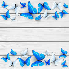 Blue And White Butterflies On Wooden Background By Losw Graphicriver Pink butterfly, butterfly u65b0u751fu5a1bu6a02, art butterfly, purple, english png. blue and white butterflies on wooden background