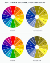 Understanding Color Blindness A Guide To Accessible Design