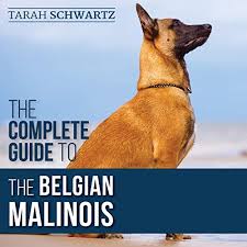 The Complete Guide To The Belgian Malinois Horbuch Download Von Tarah Schwartz Audible De Gelesen Von Andrew Rowe