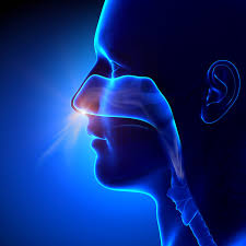Marinomed biotech ag is a biopharmaceutical company focused on the development of innovative products in the field of respiratory and eye diseases that are based on patented technology platforms. Ipo Marinomed Sets Offer Price European Biotechnology