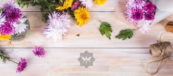 Lidl riva fiori domani / lb fiori home facebook : Fk9htziumli8zm