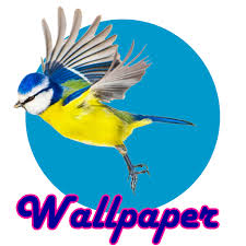 Here are only the best 4k desktop wallpapers. Birds Wallpaper Full Hd 4k Free Amazon De Apps Fur Android