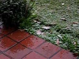 Check spelling or type a new query. Nieve En Burzaco Youtube