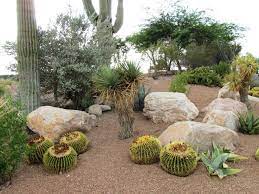 Cacti, rocks and stones, a creative and original approach to landscape design can be inspiring to many homeowners who would like to have. 8 Steps To Diy Xeriscape Landscape Design Arizona Desert Xeriscape