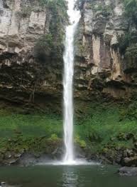 115 manfaat dan khasiat daun putri malu untuk kesehatan khasiat via. 85 Gambar Air Terjun Putri Malu Paling Hist Gambar Pixabay
