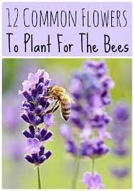 Everyone knows that flowers are essential to bees, but do you know which flowers are best for making honey? 12 Common Flowers To Plant For The Bees That Are Good For Us Too Bee Attracting Flowers Bee Friendly Garden Pollinator Garden