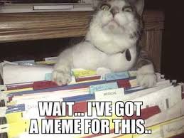 The Meme For When You Can T Find The Right Meme Album On Imgur