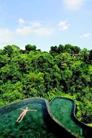 35 Best Hotel Swimming Pools In The World In 2020 Reiseziele Ubud Rafting