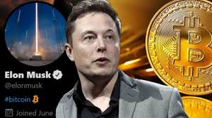 Yet for the chief investment officer of societe generale's uk. Elon Musk Gives Advice To Crypto Money Investors Somag News