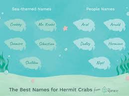 Top cool usernames are listed in the article. 100 Names For Pet Crabs