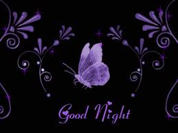 Beautiful Black And Purple Butterfly Https Encrypted Tbn0 Gstatic Com Images Q Tbn 3aand9gcrxjxnywg4qjq4d2ksdcaxi7bu5 Ij4fraudw Usqp Cau