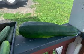 If you're converting a recipe that was written in british, australian, or new zealand cups, which have a 250 ml capacity, multiply all gram equivalents below by 1.04 (i.e. Bigger Isn T Always Better Life S Solutions