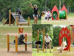 Awesome Diy Dog Agility Course Trends Dog Agility Course Dog Agility Course Diy Dog Playground