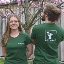 Image result for Pollichia