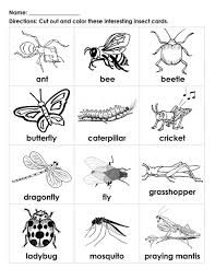 Free Handouts For Learning Insects Preschool Insects For Kids Kindergarten Worksheets