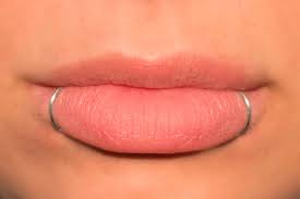 What is a snake bite? Fake Lip Ring Sterling Silver Snake Bites No Piercing Etsy