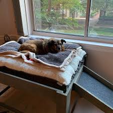 But, are elevated dog beds better than the traditional mattress type dog beds made with stuffing or foam? Large Dog Bed With Step Or Ramp Wood Raised Dog Bed Elevated Etsy Elevated Dog Bed Raised Dog Beds Dog Bed Large