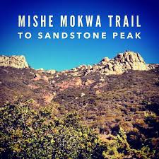 Image result for Mostuea