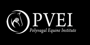 Polyvagal Principles - Mastery and Integration