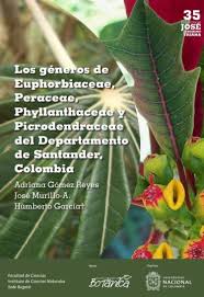 Image result for Peraceae