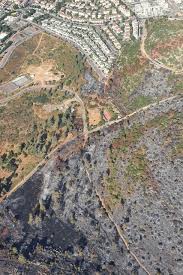 קמפוס הר הצופים, ירושלים 9190501 קרית אדמונד י' ספרא, גבעת רם, ירושלים 9190401 המרכז הרפואי הדסה עין כרם, ירושלים 9112001 קמפוס רחובות, ת.ד. Mcmd72is7ly23m
