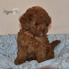 Get the famous michelin maps, the result of more than a century of mapping experience. Salvaterra De Magos Salvaterrademag Perfil Pinterest