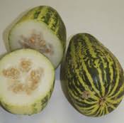 Image result for Eureiandra sp. A