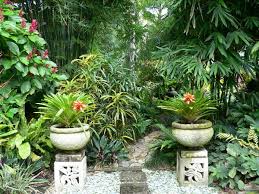 His marriage of design flair and sound horticultural knowledge places him apart from so many of his peers. Hundscheidt Tropical Gardens Abc None Australian Broadcasting Corporation