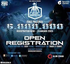 Tournament Online Pubgm Mvl Scrim Indonesia Juara