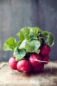 Ronny Is Telling You Radishes 4x6 Notecard By Kimpeckphotography On Etsy Obst Und Gemuse Lebensmittelfotografie