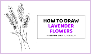When autocomplete results are available use up and down arrows to review and enter to select. How To Draw Lavender Flowers Easy Step By Step Guide Craftsonfire