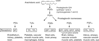 Maka fpb dari 15 dan 25 adalah 5. Prostanoids In Health And Disease Journal Of Lipid Research