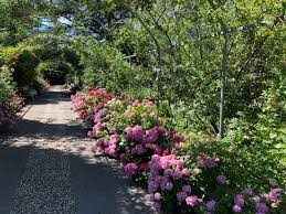 Botanischer Garten Sezana Visit Kras