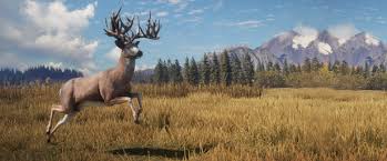 We have a total of 52 hunting games and the most popular are: Thehunter Call Of The Wild On Steam