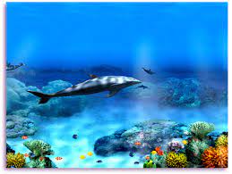 Xsaver is a customizable picture slideshow screen saver. 48 Free Animated Dolphin Screensavers Wallpaper On Wallpapersafari