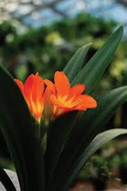 We did not find results for: Sixteen Acres Garden Center Issuu