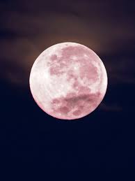 Since the lunar month is only 29 days long on the average, the full moon dates shift from year to year. A Pink Moon Arrives On Friday April 19 Here S What It Means Allure