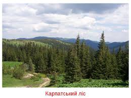 Створений з метою зібрати в одному місці та довести до широкого кола громадськості інформацію щодо природних об'єктів та флори і фауни україни. Priroda Ukrayini Prezentaciya Z Ya I Ukrayina