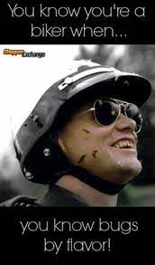 You Know You Re A Biker When You Know Bugs By Flavor Orlandoharley Jim Carrey The Wedding Singer Actors