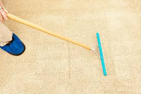 Check out our guide to the best carpet rakes! 5 Best Carpet Rakes To Fluff Carpet Home Decor Bliss