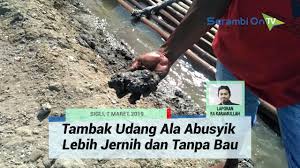 Dalam hal ini, kementerian atr/bpn mempunyai andil besar mulai dari program pendaftaran tanah, pengadaan tanah untuk kepentingan umum, hingga penyelesaian sengketa dan. Patut Dicontoh Tambak Udang Ala Abusyik Lebih Jernih Dan Tanpa Bau Youtube