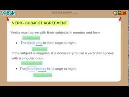 subject verb agreement grammar lesson for grade 3