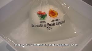 Di alternative alla mozzarella ce ne sono moltissime, basta solo conoscerle e saper scegliere in base ai propri gusti. I Consigli Per Gustare La Mozzarella Di Bufala Dop Youtube