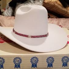 Brush and gather hair brush through hair to eliminate bumps and tangles. Accessories Horsehair Western Hat Band Poshmark