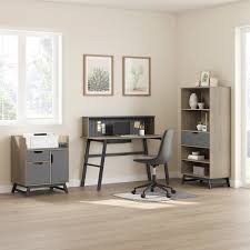 Image result for Ochna hackarsii