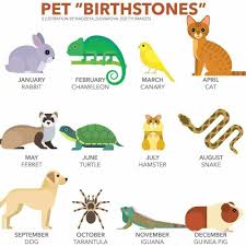Which Is Your Animal Compared Your Birth Month Month Animals Birth Animal Birth Month Symbols