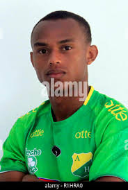 Lemus lemus hi-res stock photography and images