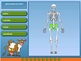 Juegos educativos para docentes, padres o cuidadores para entretener a los niños y niñas. Juegos Interactivos De Ciencias Para Ninos Espaciociencia Com