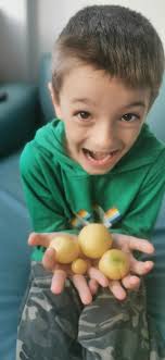 Potatoes instead of roses in honey experiment